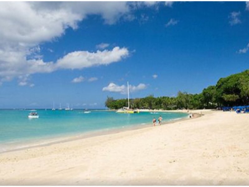 The Palms Resort 6