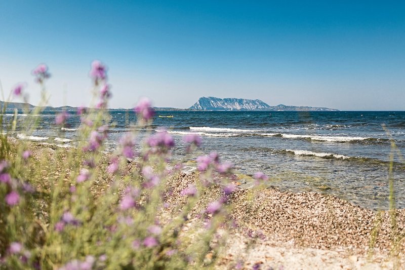 TH San Teodoro 7