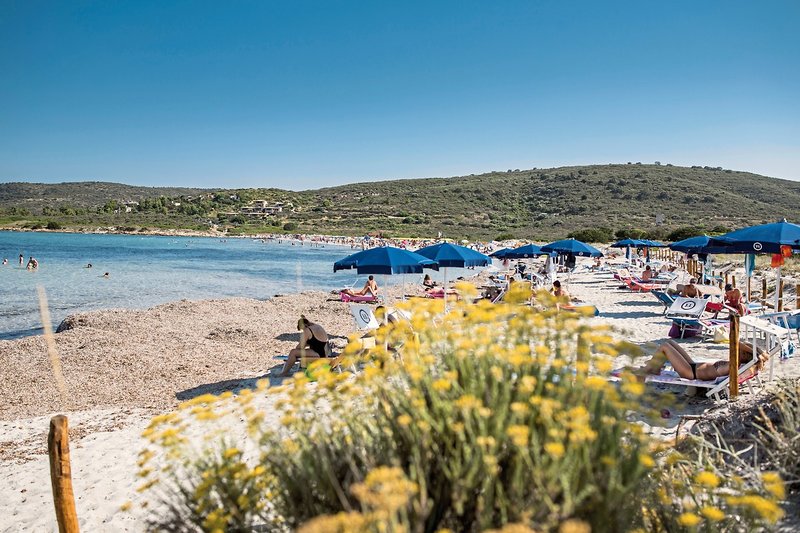 TH San Teodoro 8