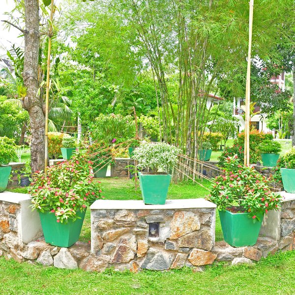 Aathma Ayurveda Health Resort 15