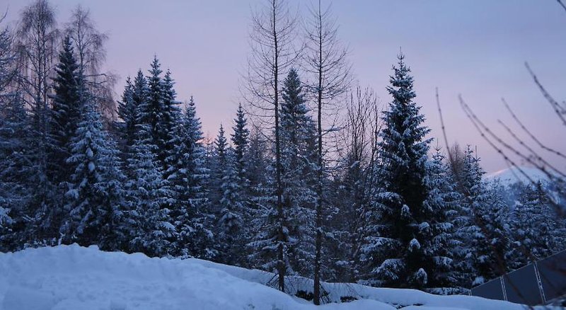 Blue Mountain 5