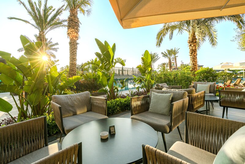 Calyptus Kirman Premium 14