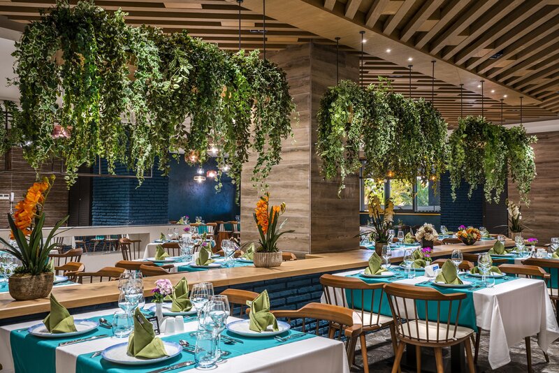 Calyptus Kirman Premium 15