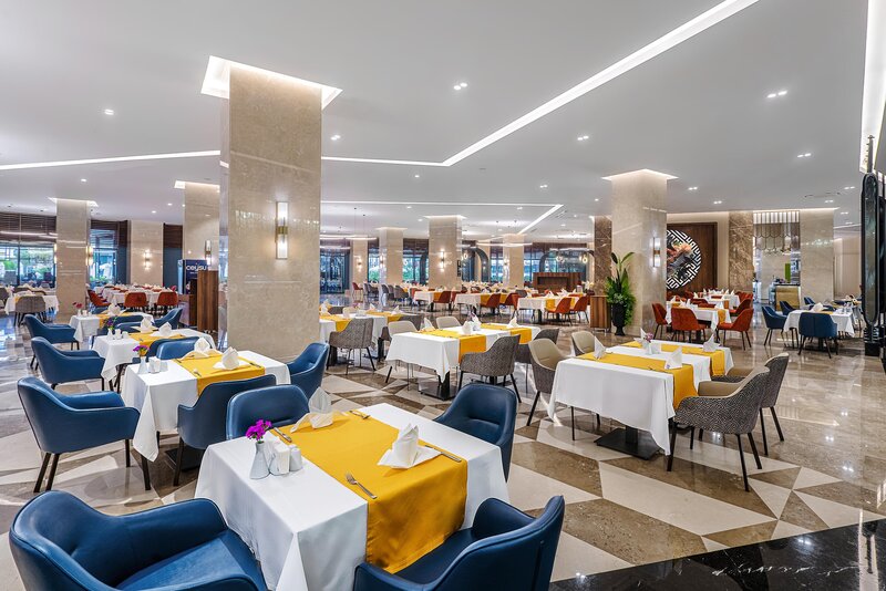 Calyptus Kirman Premium 17