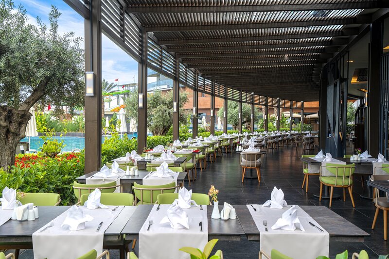 Calyptus Kirman Premium 19