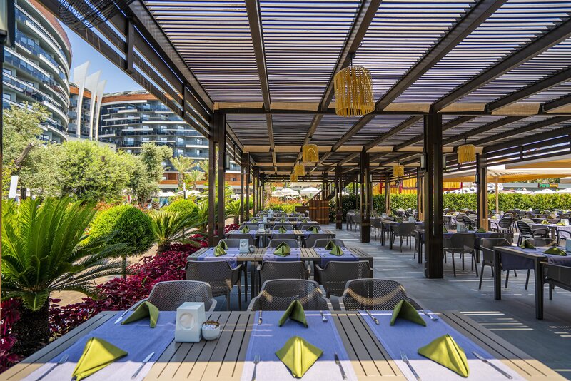 Calyptus Kirman Premium 21