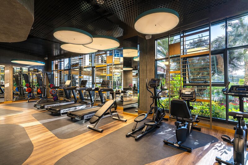 Calyptus Kirman Premium 33