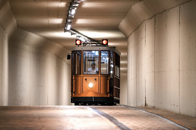 Calyptus Kirman Premium 41