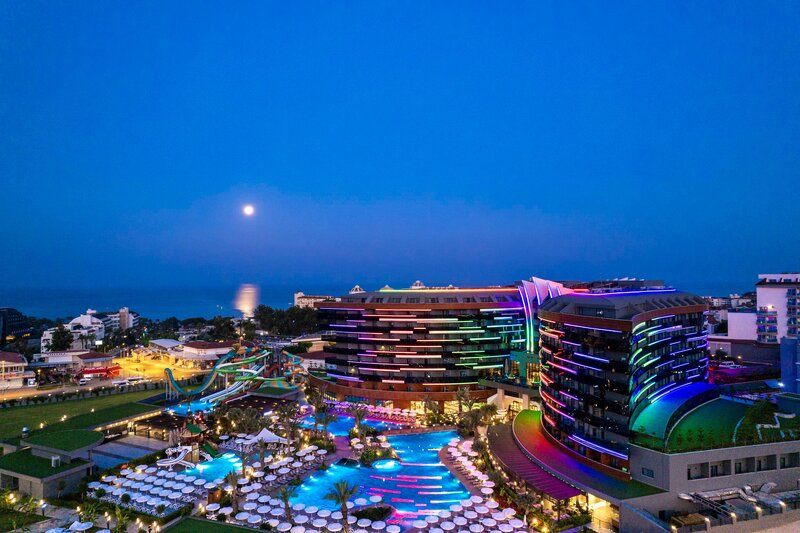 Calyptus Kirman Premium 45