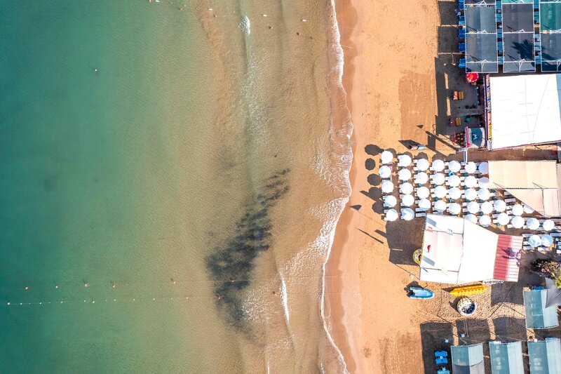 Calyptus Kirman Premium 49