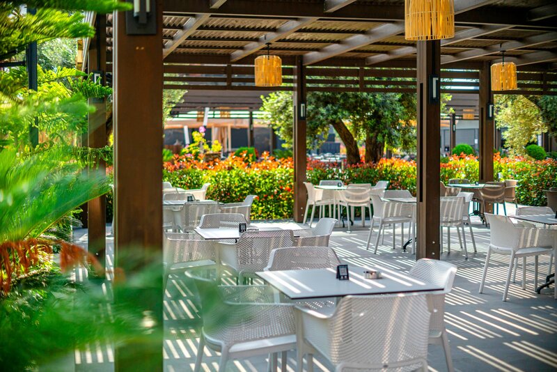 Calyptus Kirman Premium 68