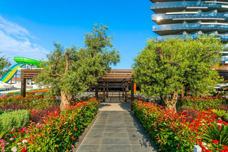 Calyptus Kirman Premium 71