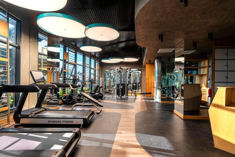 Calyptus Kirman Premium 89