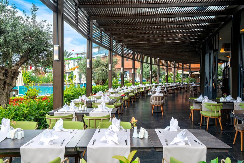 Calyptus Kirman Premium 122