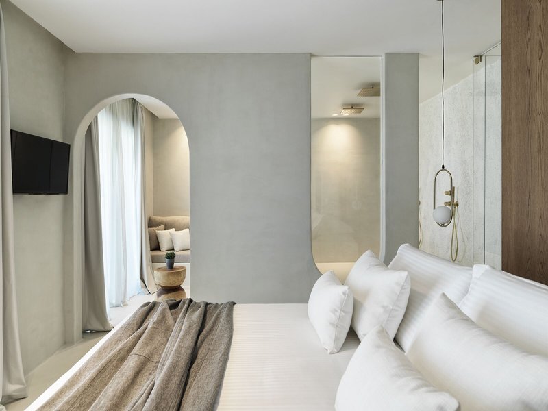 Mykonos Earth Suites 40