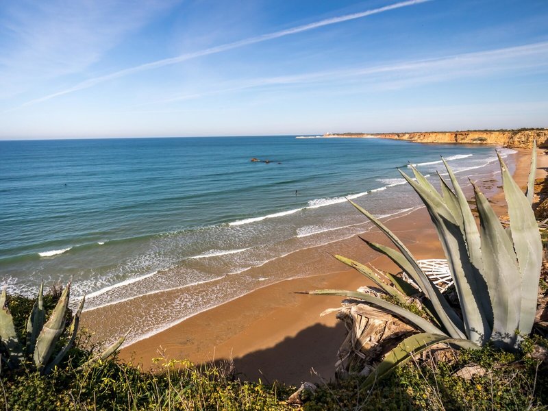 Barcelo Conil Playa 6
