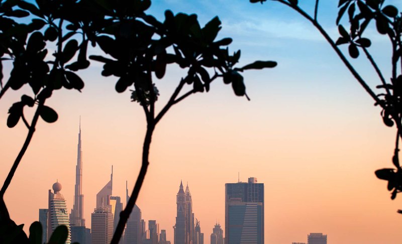 DoubleTree by Hilton Dubai M square Hotel & Residences 7