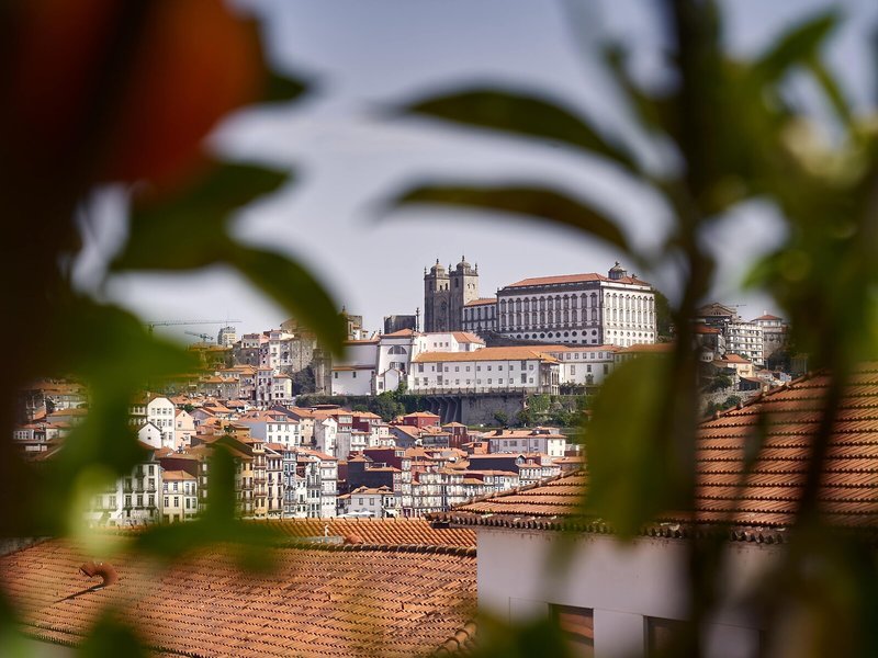 The Lodge Wine & Business Hotel 50