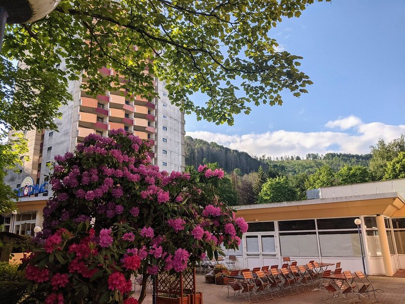 Panoramic - Ihr Aparthotel im Harz 1
