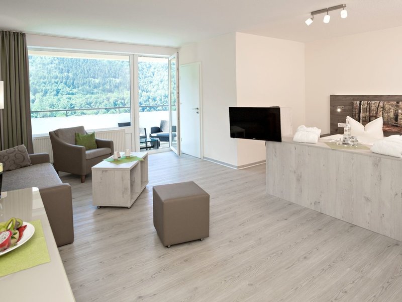 Panoramic - Ihr Aparthotel im Harz 49