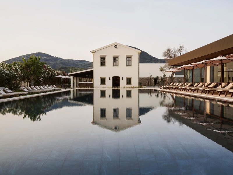 The Olivar Suites 2