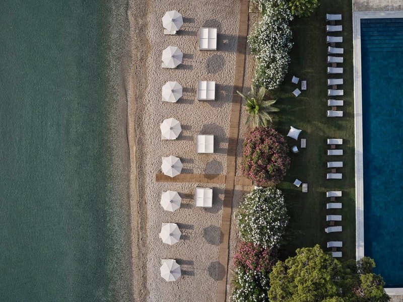 The Olivar Suites 5