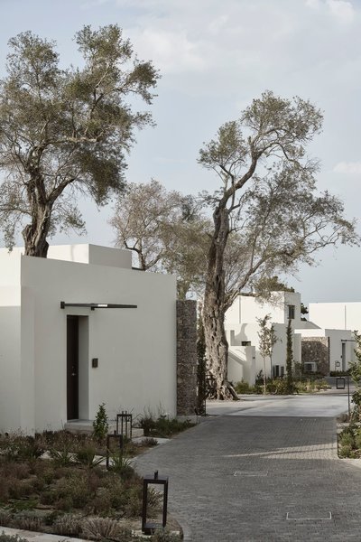 The Olivar Suites 2