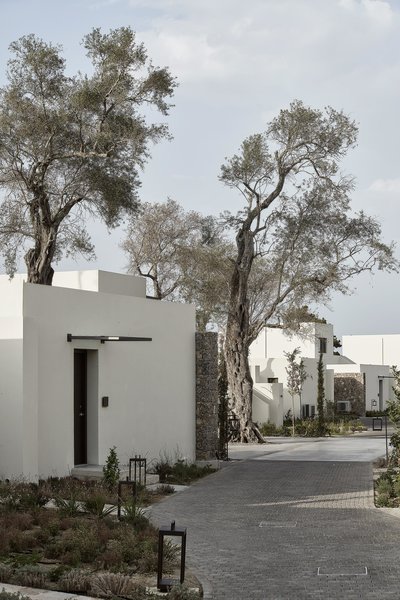 The Olivar Suites 37