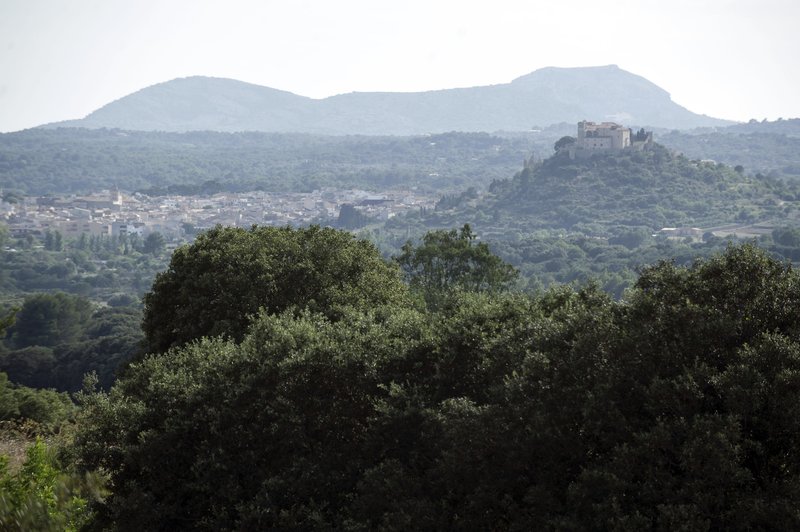 Es Raco d'Arta 3