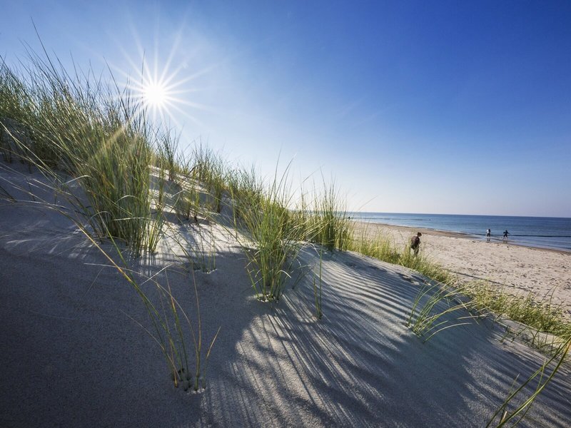 Strandhotel Fischland Gesamtanlage 6