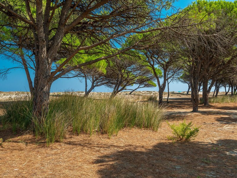 Le Dimore di Budoni 5 - Landscape