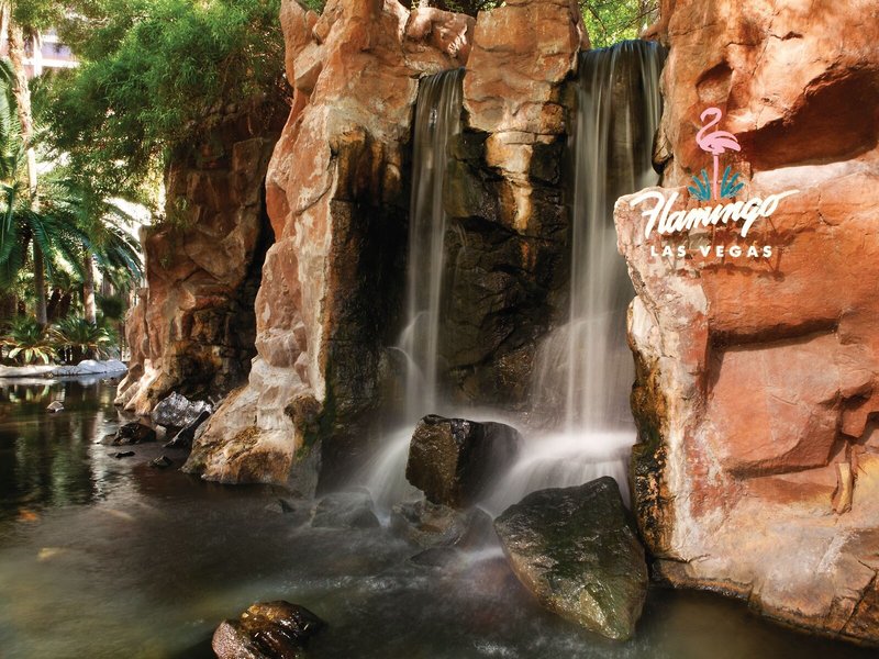 Flamingo Las Vegas & Casino 5
