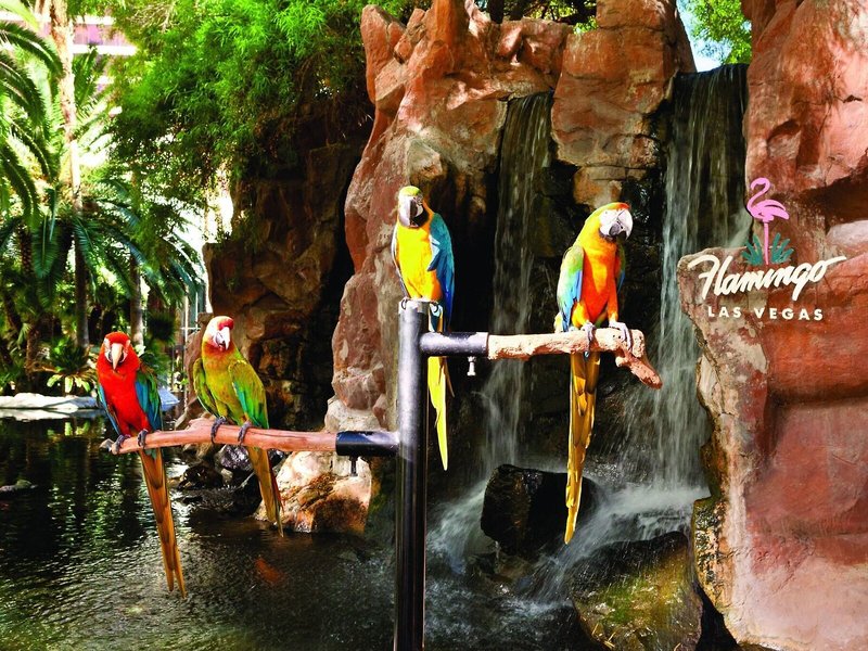 Flamingo Las Vegas & Casino 7