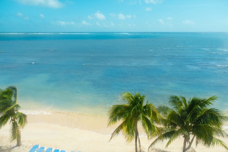 Palmar Beach Resort & Spa Riviera Maya 5