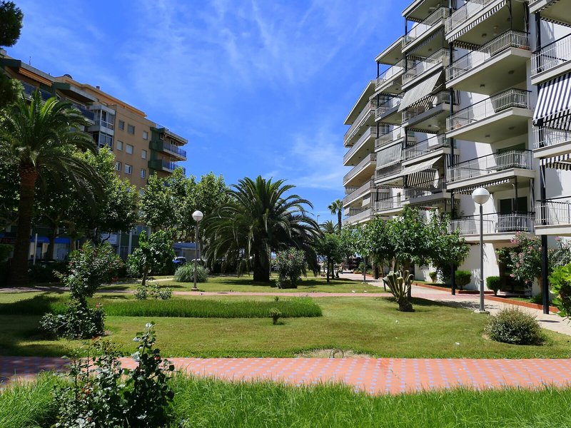 Rentalmar Aries Plus 1