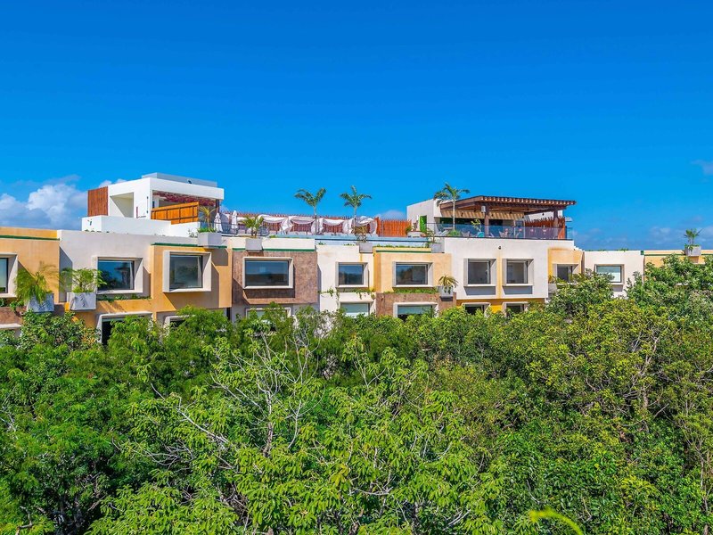 Aloft Tulum 4