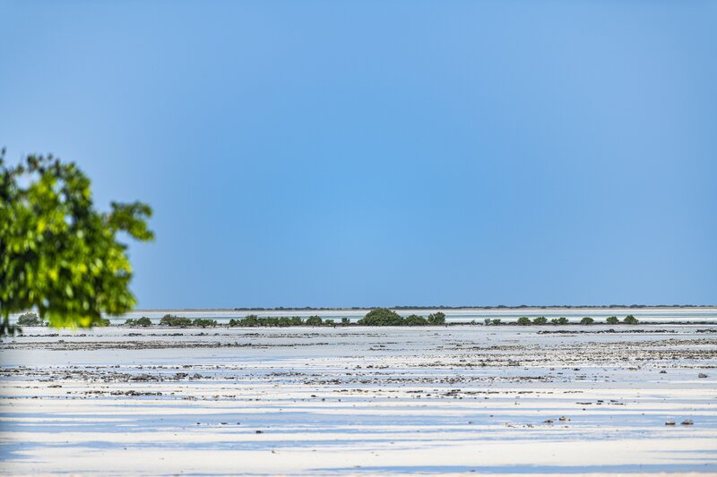 Zulal Wellness Resort by Chiva-Som 11