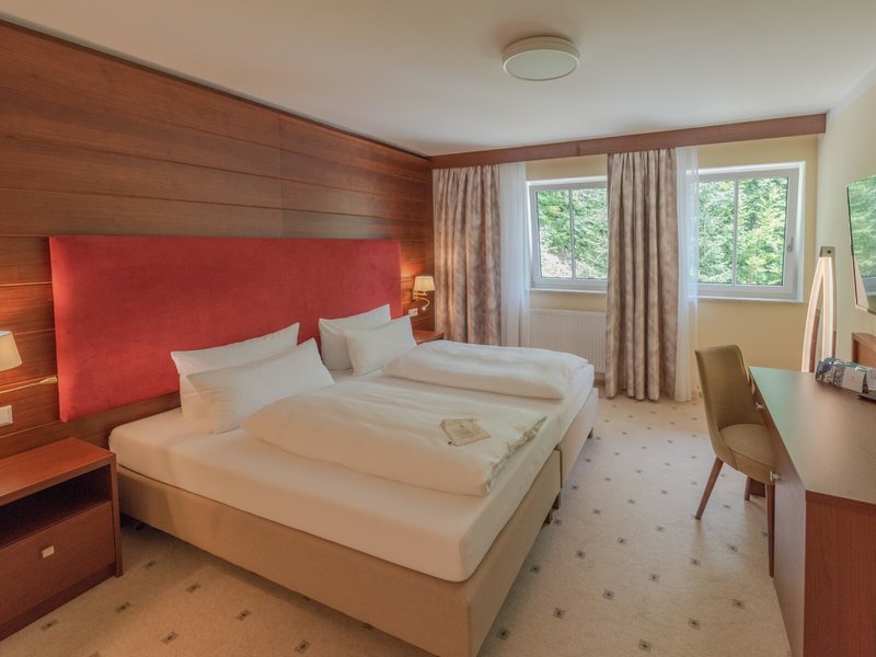 Robenstein Hotel & SPA 38