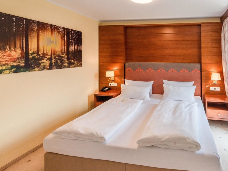 Robenstein Hotel & SPA 39