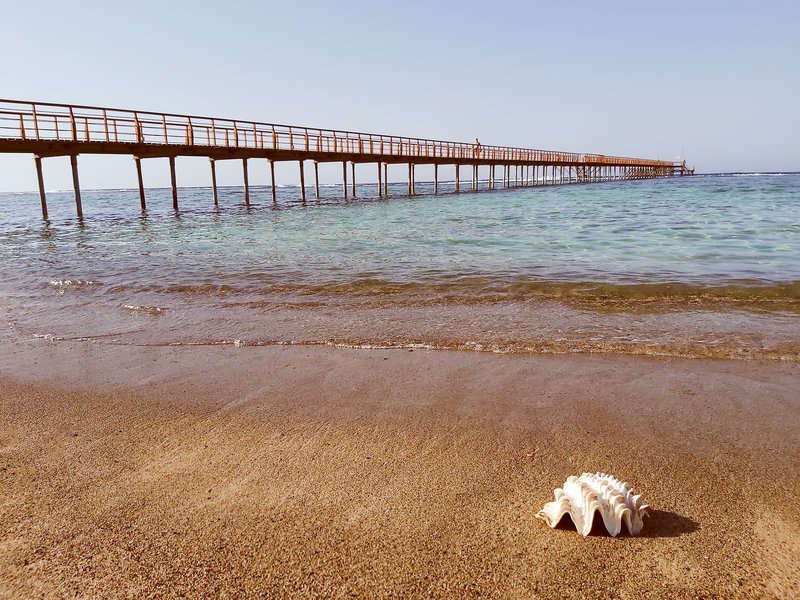 Lazuli Hotel Marsa Alam 3