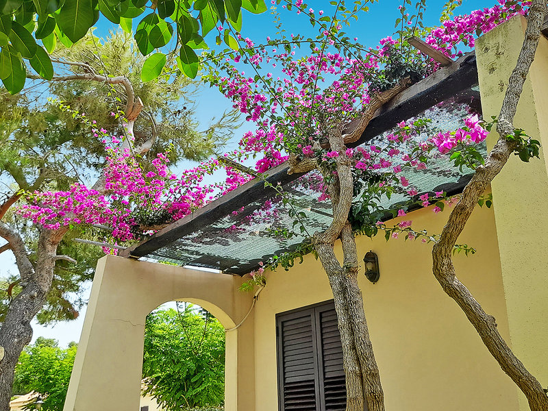 Villaggio Le Muse 12