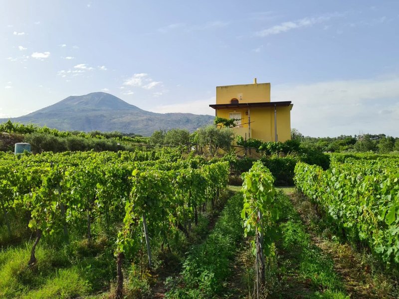 Vesuvio Inn 17