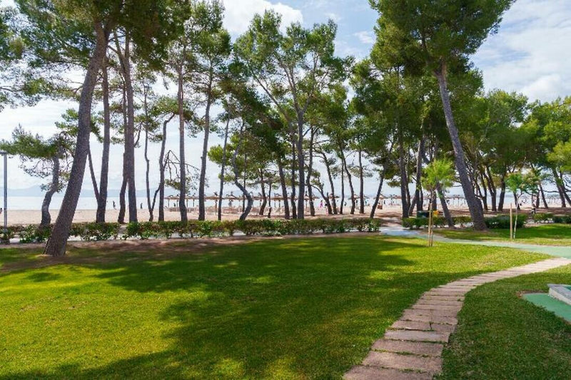 Lime Playa de Alcudia 1