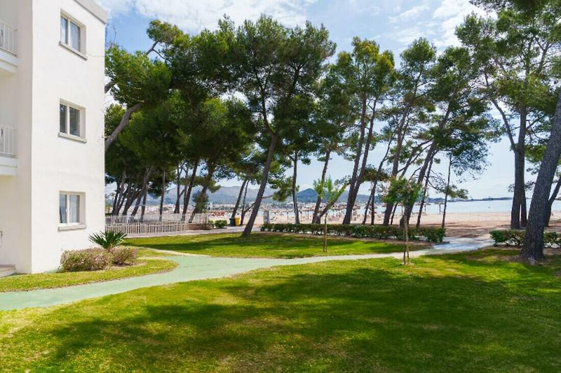 Lime Playa de Alcudia 2