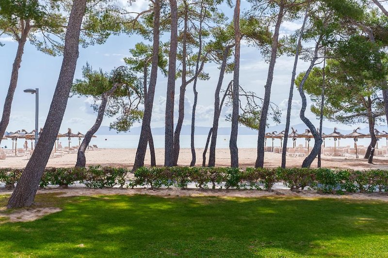Lime Playa de Alcudia 4