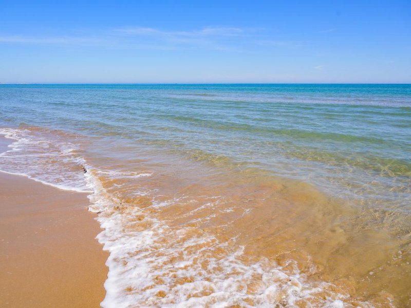 Oasis Saidia Palace & Blue Pearl 10