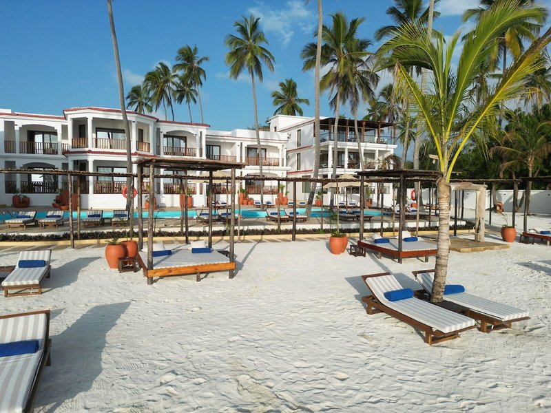 Dream of Zanzibar 2