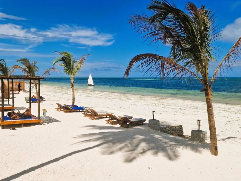 Dream of Zanzibar 4