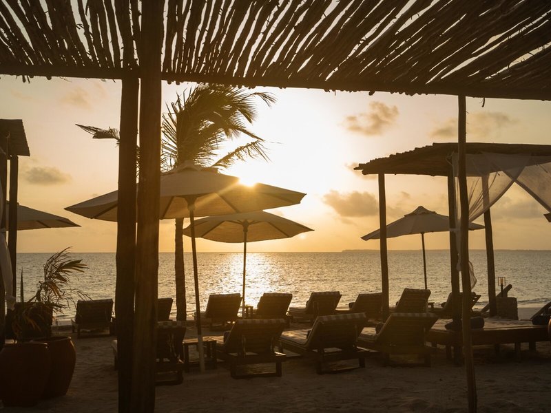 Dream of Zanzibar 6