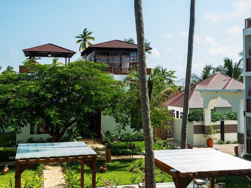 Dream of Zanzibar 21